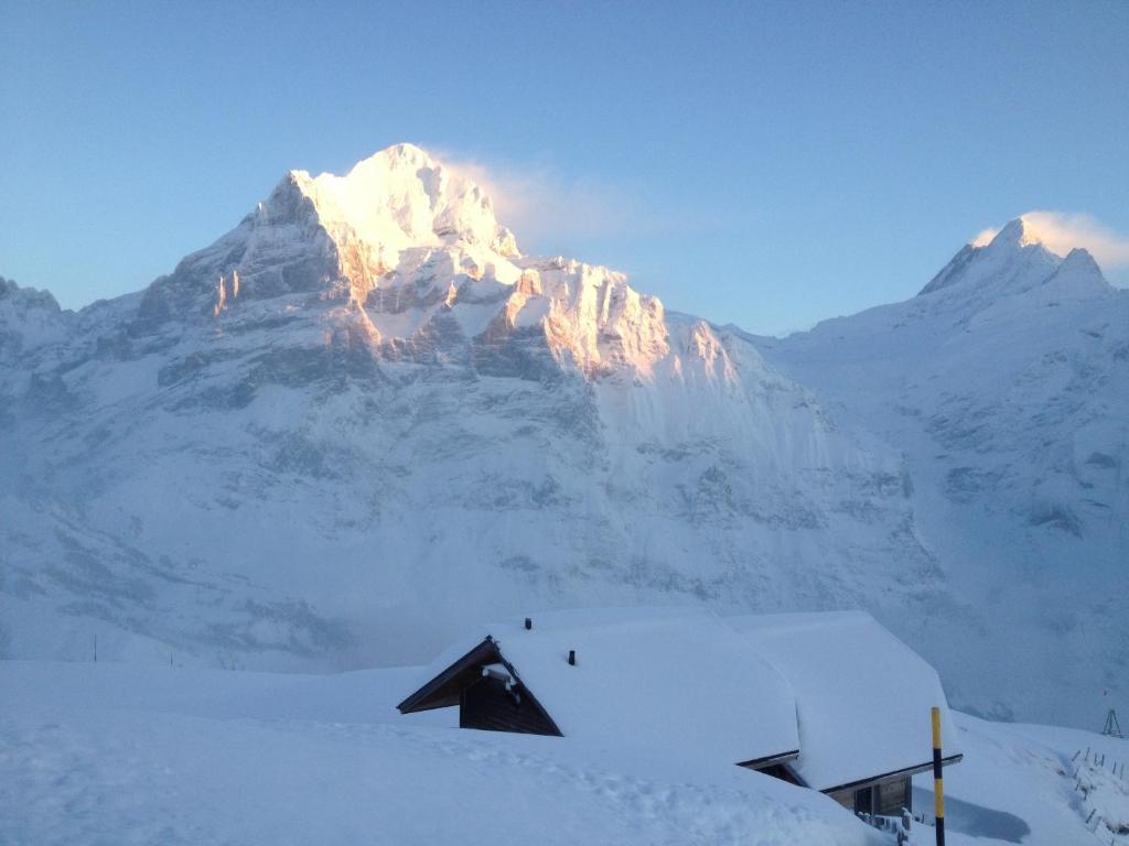 Berggasthaus First - Only Accessible By Cable Car Grindelwald Exterior photo